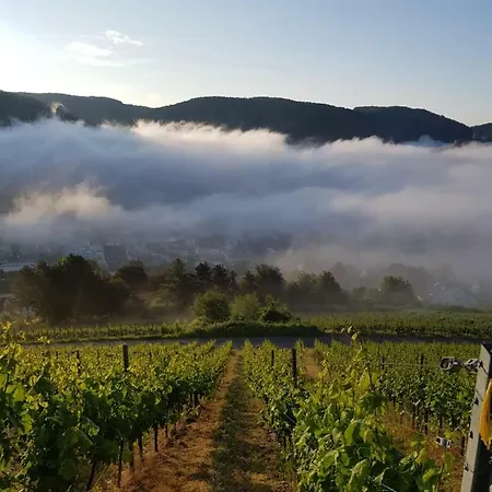 Mosella * برنكاستيل كويس