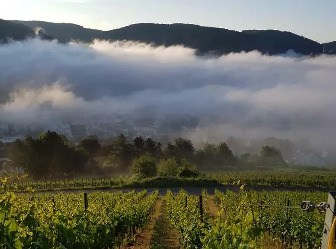 Mosella * Bernkastel-Kues